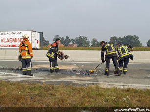 Ongeval geknelde E34/N49 Assenede Oosthoek